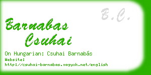 barnabas csuhai business card