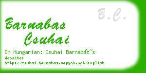 barnabas csuhai business card